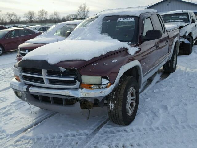 1B7GG2AX71S223630 - 2001 DODGE DAKOTA QUA MAROON photo 2