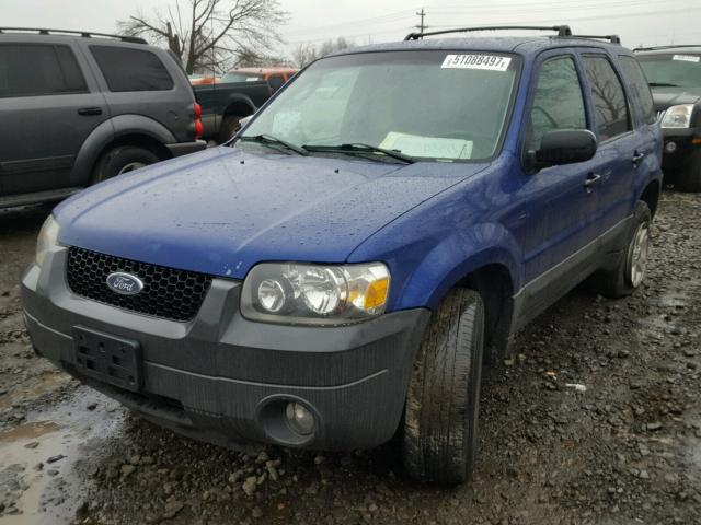 1FMYU93195KA97321 - 2005 FORD ESCAPE XLT BLUE photo 2