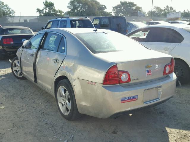 1G1ZB5EBXAF243346 - 2010 CHEVROLET MALIBU LS თაფლისფერი ფოტო 3