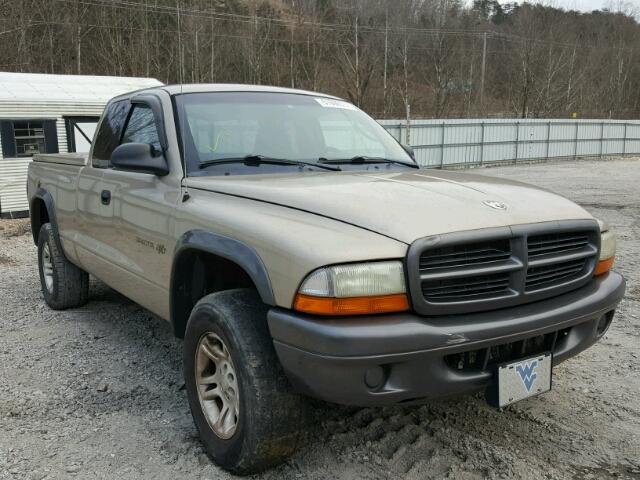 1B7GG12X02S650366 - 2002 DODGE DAKOTA BAS GOLD photo 1