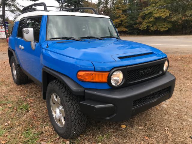 JTEBU11FX80107019 - 2008 TOYOTA FJ CRUISER BLUE photo 1