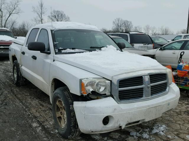 1D7HW48K06S535847 - 2006 DODGE DAKOTA QUA WHITE photo 1