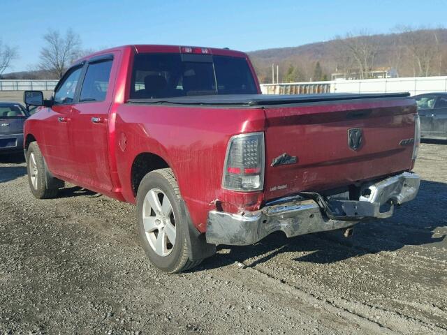 1D3HV13T69J534117 - 2009 DODGE RAM 1500 RED photo 3