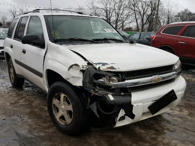 1GNDT13S952294674 - 2005 CHEVROLET TRAILBLAZE WHITE photo 1