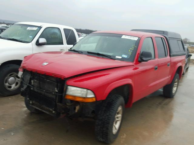 1D7HG38NX3S204528 - 2003 DODGE DAKOTA QUA RED photo 2