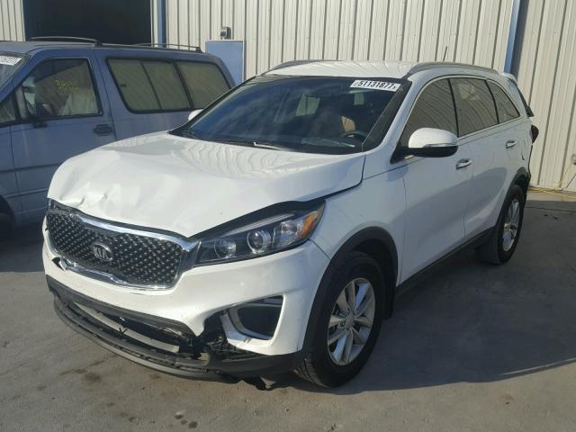 5XYPG4A31HG203186 - 2017 KIA SORENTO LX WHITE photo 2