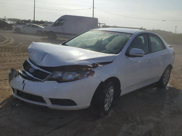 KNAFU4A27C5508671 - 2012 KIA FORTE EX WHITE photo 2