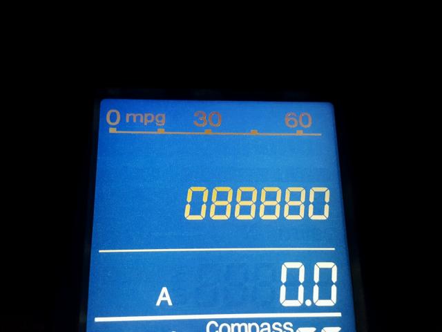 5J6RE4H78AL013042 - 2010 HONDA CR-V EXL 绿色 照片 8