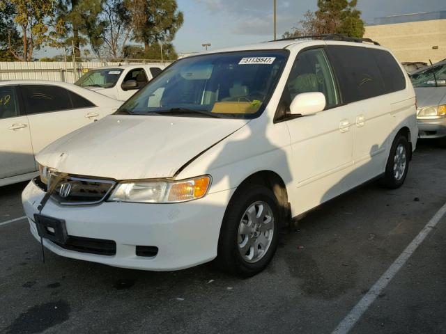 5FNRL18053B031632 - 2003 HONDA ODYSSEY EX WHITE photo 2