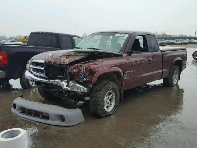 1B7GG22X2YS593506 - 2000 DODGE DAKOTA MAROON photo 2