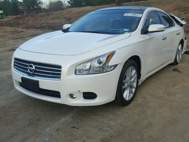 1N4AA5APXBC837095 - 2011 NISSAN MAXIMA S WHITE photo 2