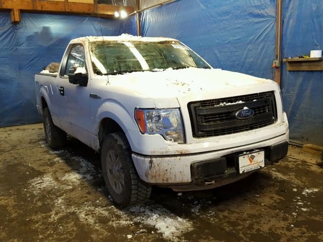 1FTMF1EM8DKD93838 - 2013 FORD F150 WHITE photo 1