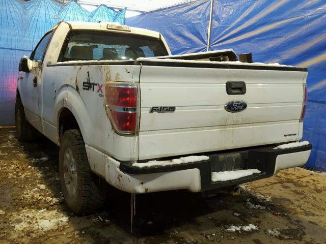 1FTMF1EM8DKD93838 - 2013 FORD F150 WHITE photo 3