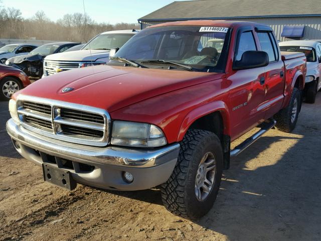 1B7HG48NX2S562422 - 2002 DODGE DAKOTA QUA RED photo 2