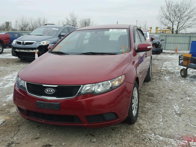 KNAFU4A28A5103920 - 2010 KIA FORTE EX RED photo 2