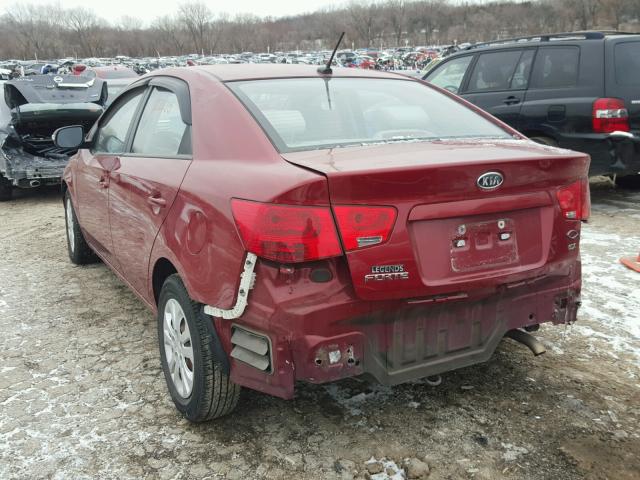 KNAFU4A28A5103920 - 2010 KIA FORTE EX RED photo 3