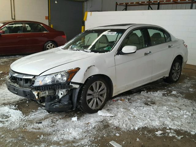 1HGCP3F83BA025433 - 2011 HONDA ACCORD EXL WHITE photo 2