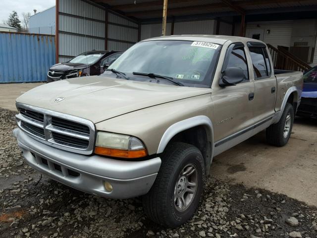 1B7HG48N72S659366 - 2002 DODGE DAKOTA QUA TAN photo 2