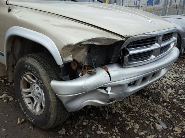 1B7HG48N72S659366 - 2002 DODGE DAKOTA QUA TAN photo 9