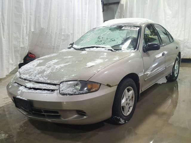 1G1JC52F047270894 - 2004 CHEVROLET CAVALIER TAN photo 2