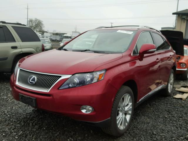 JTJBC1BAXA2011828 - 2010 LEXUS RX 450 RED photo 2