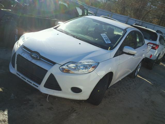 1FADP3F23DL253167 - 2013 FORD FOCUS SE WHITE photo 2