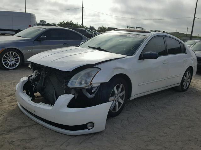 1N4BA41E24C919872 - 2004 NISSAN MAXIMA SE WHITE photo 2