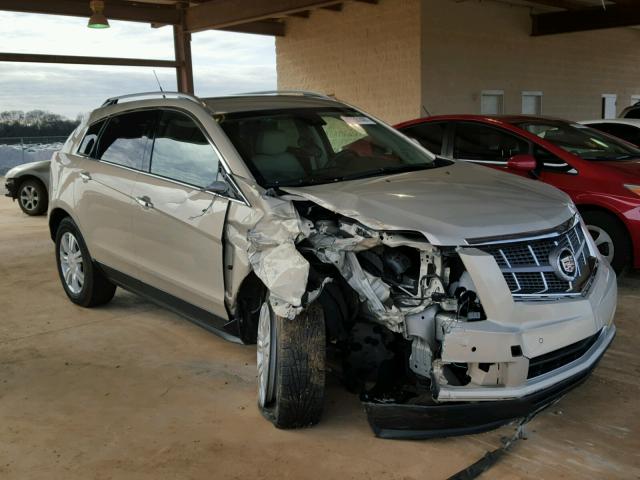 3GYFNAEY0BS543225 - 2011 CADILLAC SRX LUXURY GOLD photo 1