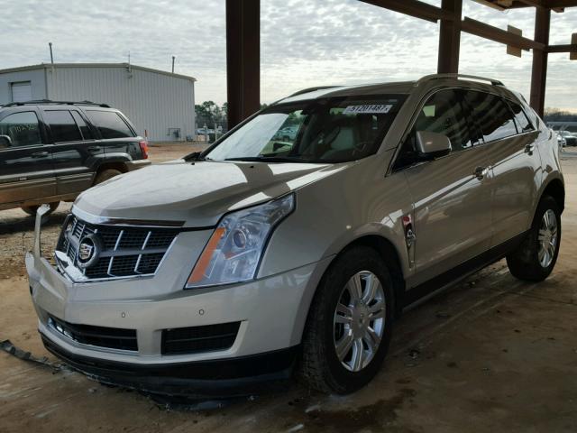 3GYFNAEY0BS543225 - 2011 CADILLAC SRX LUXURY GOLD photo 2