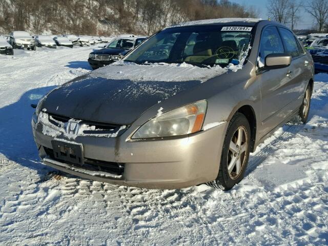 1HGCM56634A101335 - 2004 HONDA ACCORD EX TAN photo 2