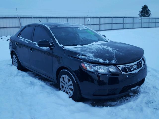 KNAFU4A27D5689806 - 2013 KIA FORTE EX BLACK photo 1