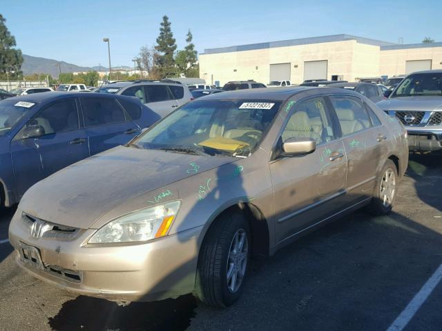 1HGCM66864A040375 - 2004 HONDA ACCORD EX GOLD photo 2