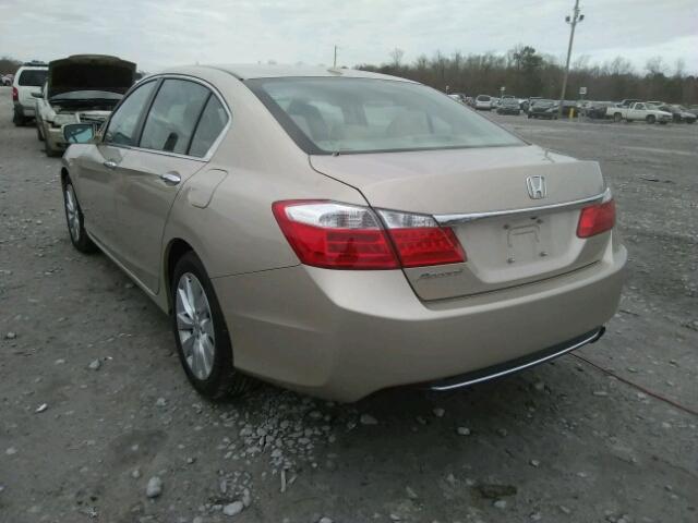 1HGCR2F81EA212856 - 2014 HONDA ACCORD EXL GOLD photo 3