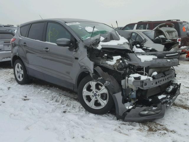 1FMCU0GX9DUD52413 - 2013 FORD ESCAPE SE GRAY photo 1