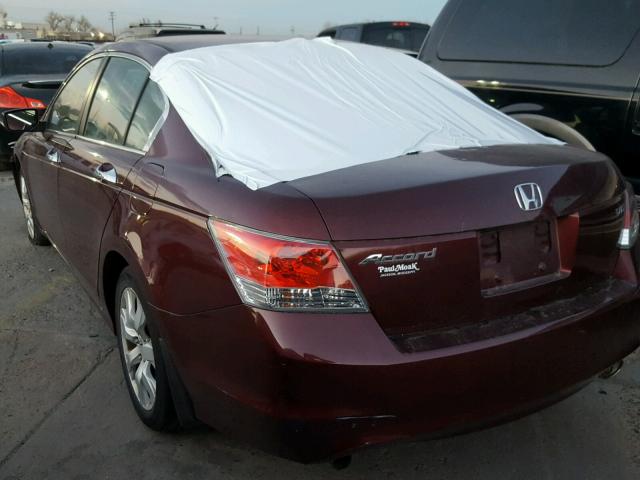 1HGCP368X8A069616 - 2008 HONDA ACCORD EXL BURGUNDY photo 3