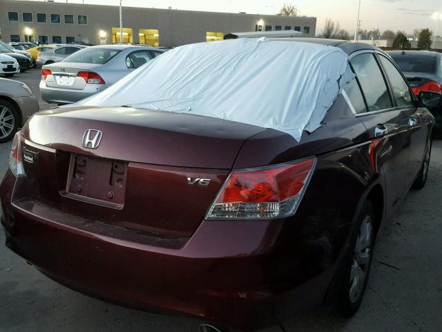 1HGCP368X8A069616 - 2008 HONDA ACCORD EXL BURGUNDY photo 4