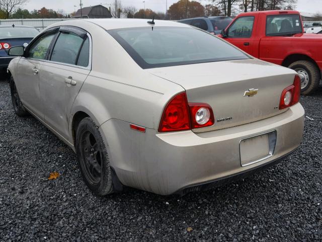 1G1ZG57B79F216518 - 2009 CHEVROLET MALIBU LS Qızıl foto 3