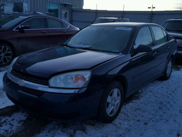 1G1ZT54835F169101 - 2005 CHEVROLET MALIBU LS 蓝色 照片 2
