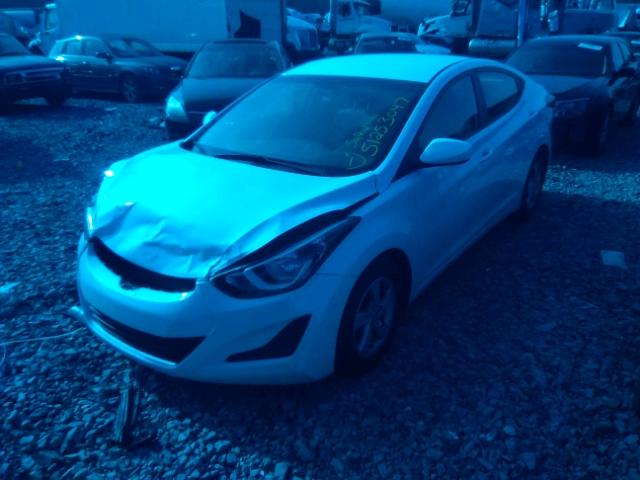 5NPDH4AE6FH623954 - 2015 HYUNDAI ELANTRA SE WHITE photo 2