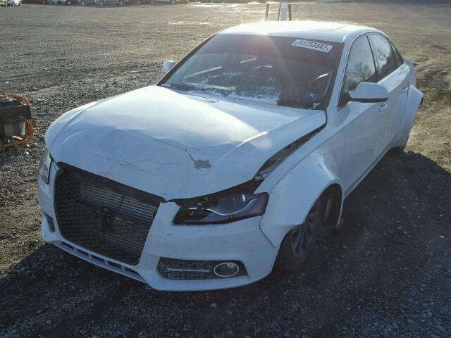 WAUDFAFL1CA111899 - 2012 AUDI A4 PREMIUM WHITE photo 2