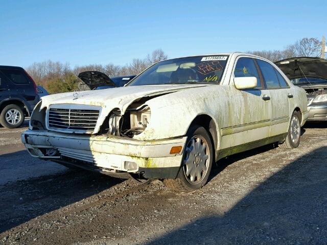 WDBJF20FXTJ021910 - 1996 MERCEDES-BENZ E 300D WHITE photo 2