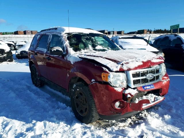 1FMCU9DG7BKB49599 - 2011 FORD ESCAPE XLT RED photo 1