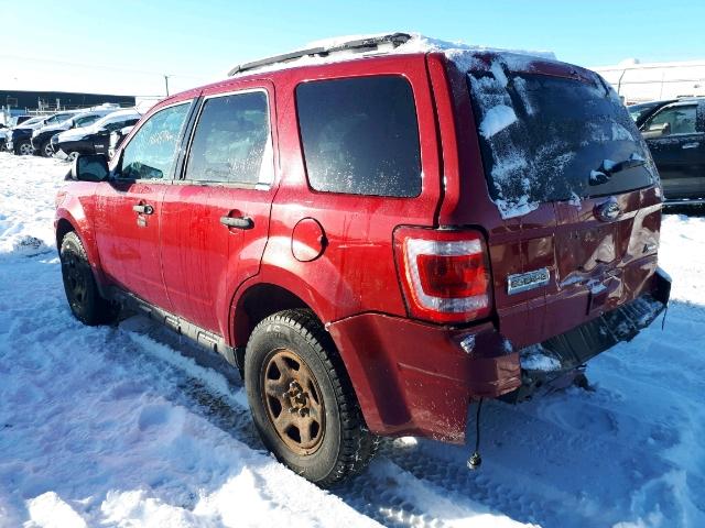 1FMCU9DG7BKB49599 - 2011 FORD ESCAPE XLT RED photo 3