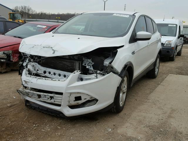 1FMCU0GX3DUC63131 - 2013 FORD ESCAPE SE WHITE photo 2