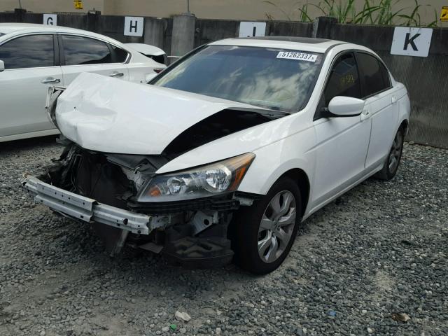 1HGCP26869A012227 - 2009 HONDA ACCORD EXL WHITE photo 2