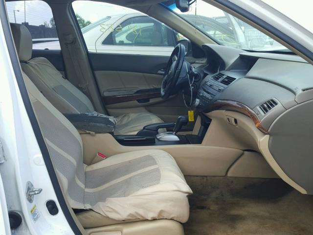 1HGCP26869A012227 - 2009 HONDA ACCORD EXL WHITE photo 5