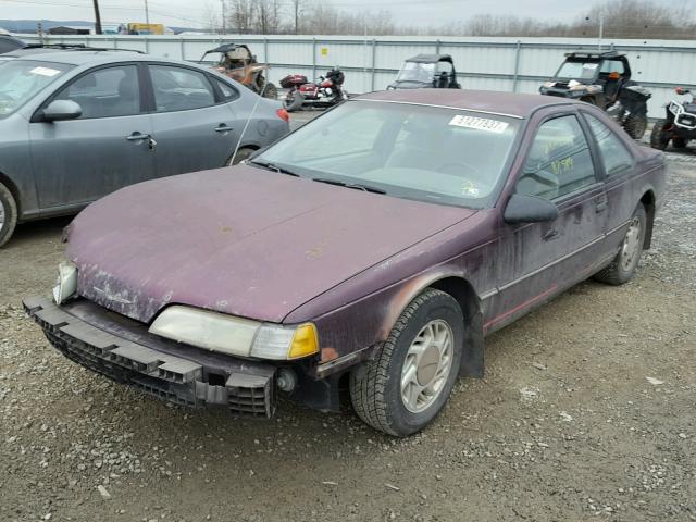 1FAPP604XNH110424 - 1992 FORD THUNDERBIR PURPLE photo 2