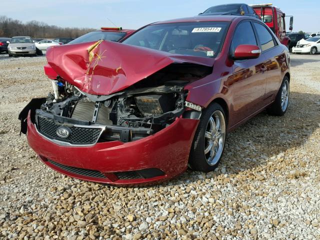 KNAFU4A23A5810472 - 2010 KIA FORTE EX RED photo 2