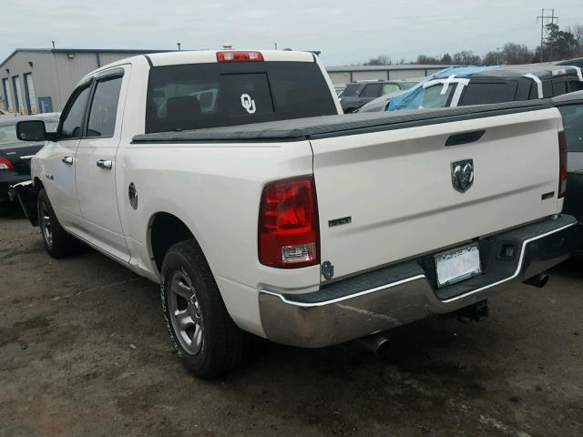 1D3HB13P89S725513 - 2009 DODGE RAM 1500 WHITE photo 3