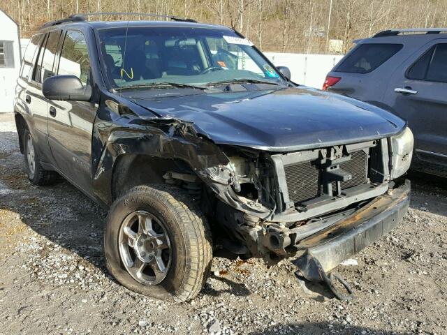 1GNDS13S632298911 - 2003 CHEVROLET TRAILBLAZE GRAY photo 1